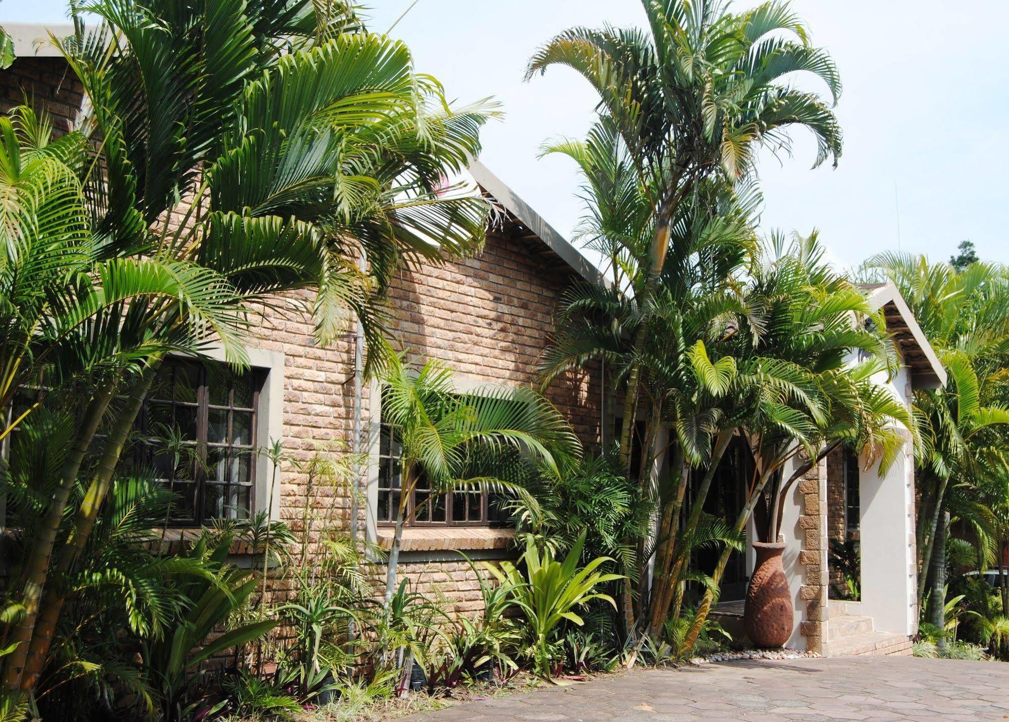 African Dreamz Guest House Saint Lucia Estuary Exteriér fotografie